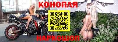 гидра Краснокаменск