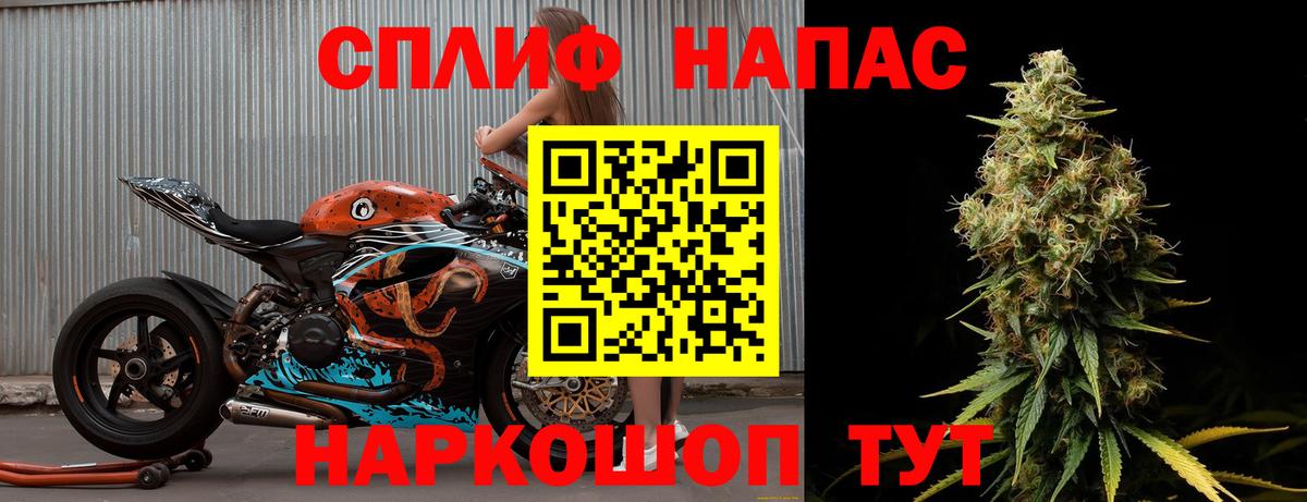 МАРИХУАНА конопля Алейск